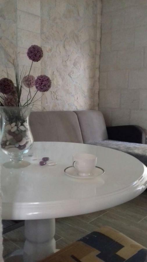 Apartment Nada ロゴズニッツァ エクステリア 写真